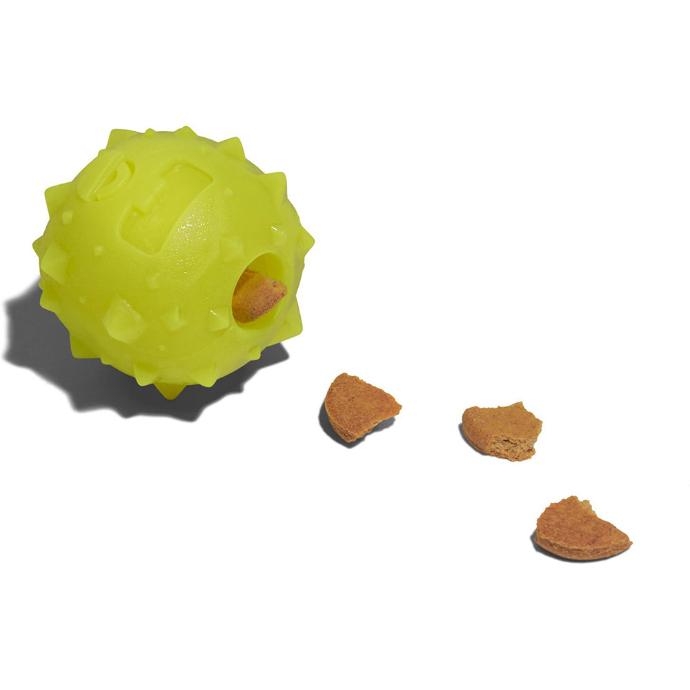 570059 ROB THE MICROBE
