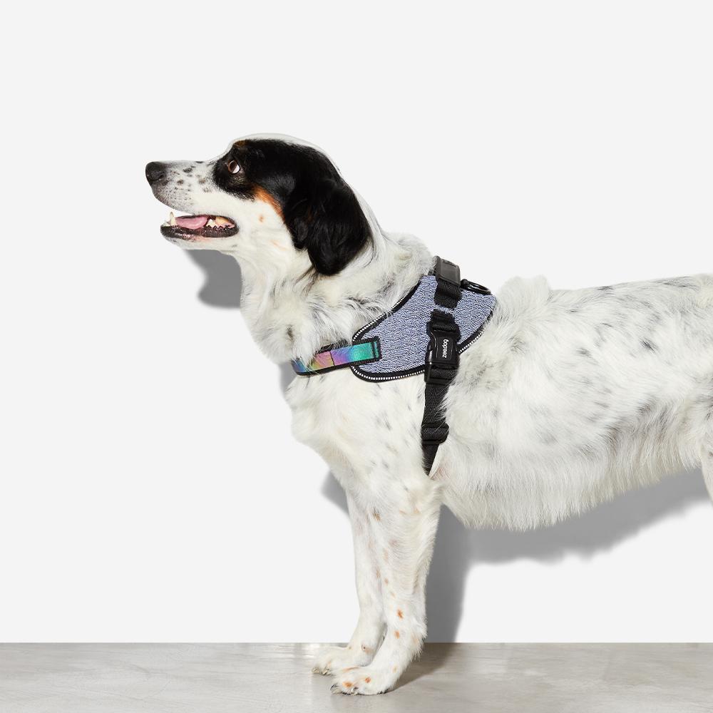 570900 URBAN FLY HARNESS XL(5) アーバン フライハーネス XL