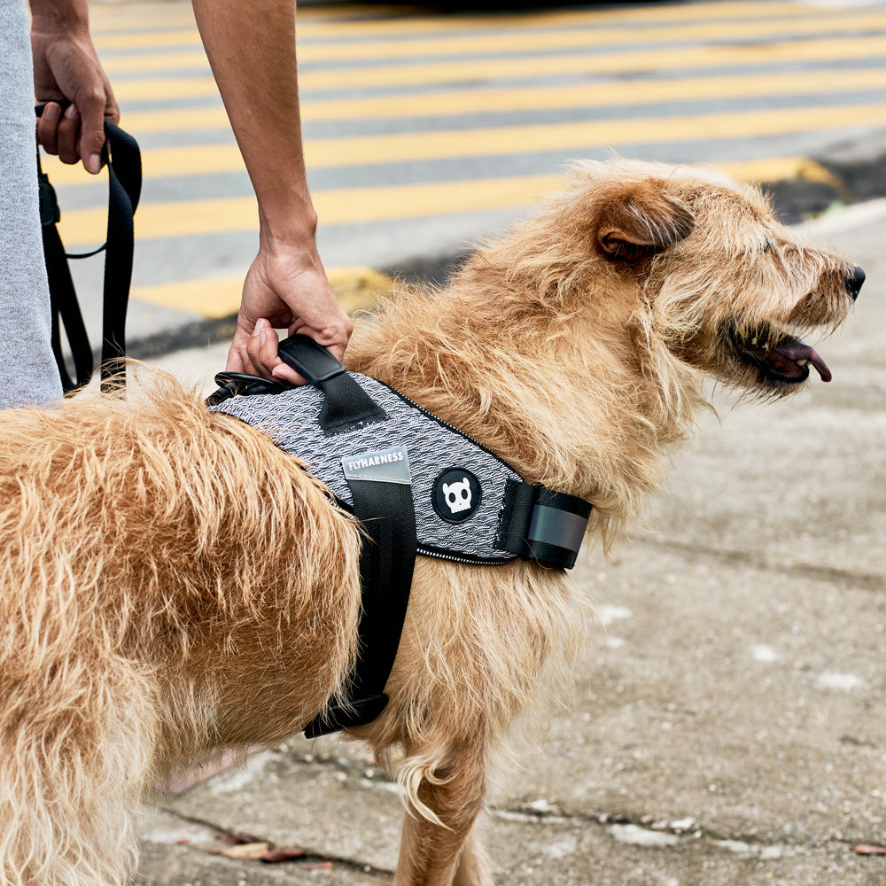 570900 URBAN FLY HARNESS XL(5) アーバン フライハーネス XL