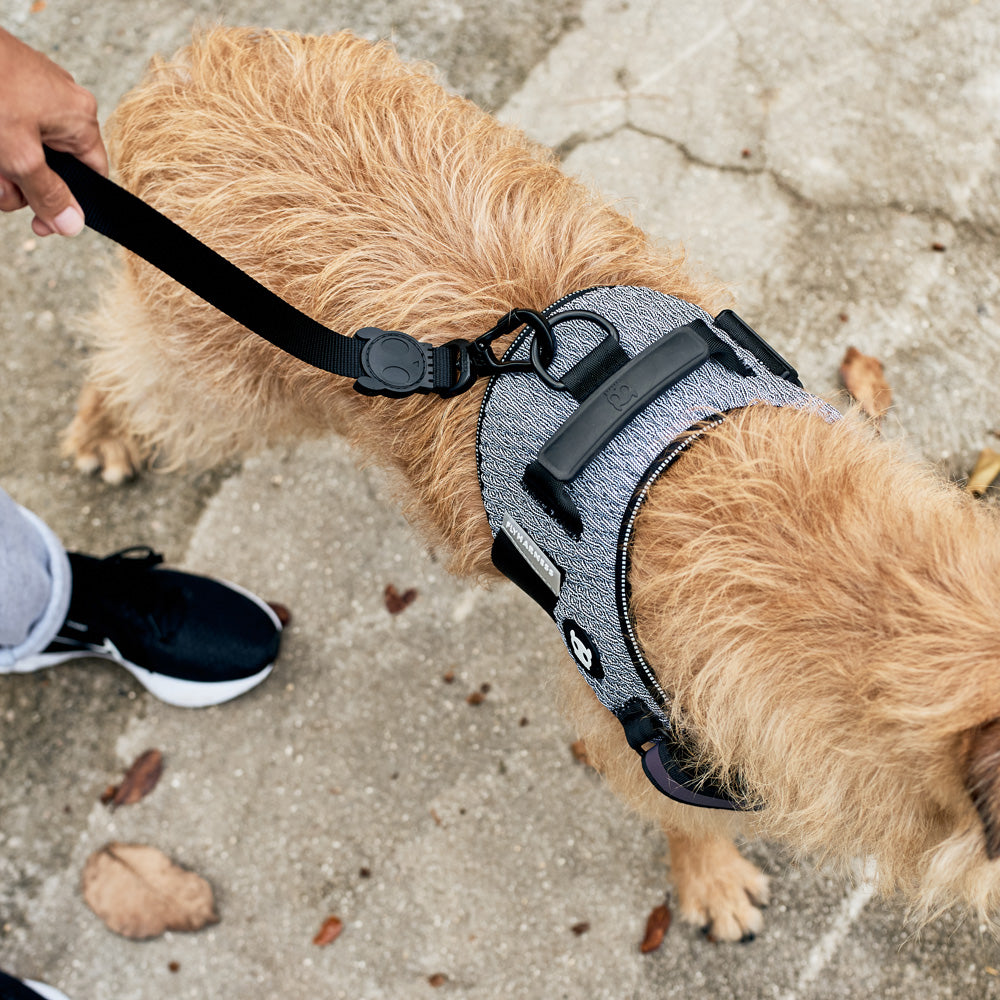 570900 URBAN FLY HARNESS XL(5) アーバン フライハーネス XL