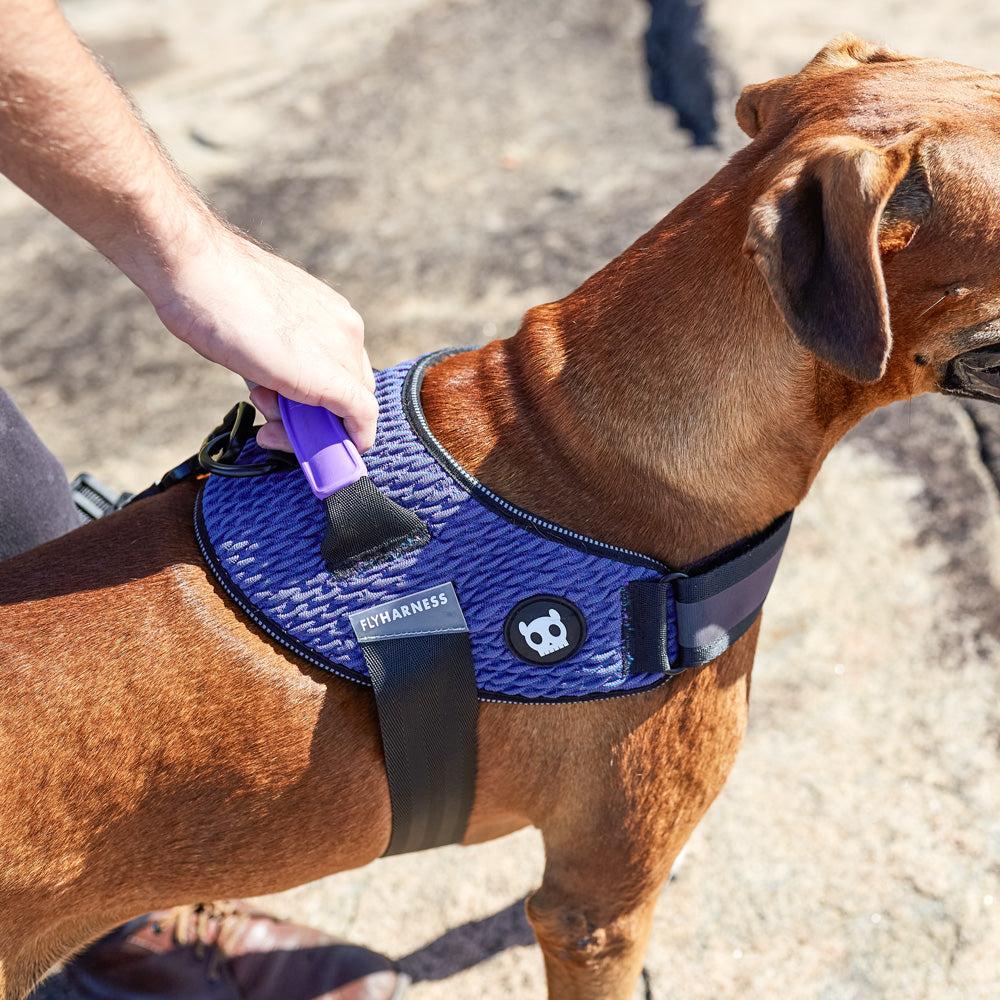 570904 WICKED FLY HARNESS L(4) ウィキッド フライハーネス L