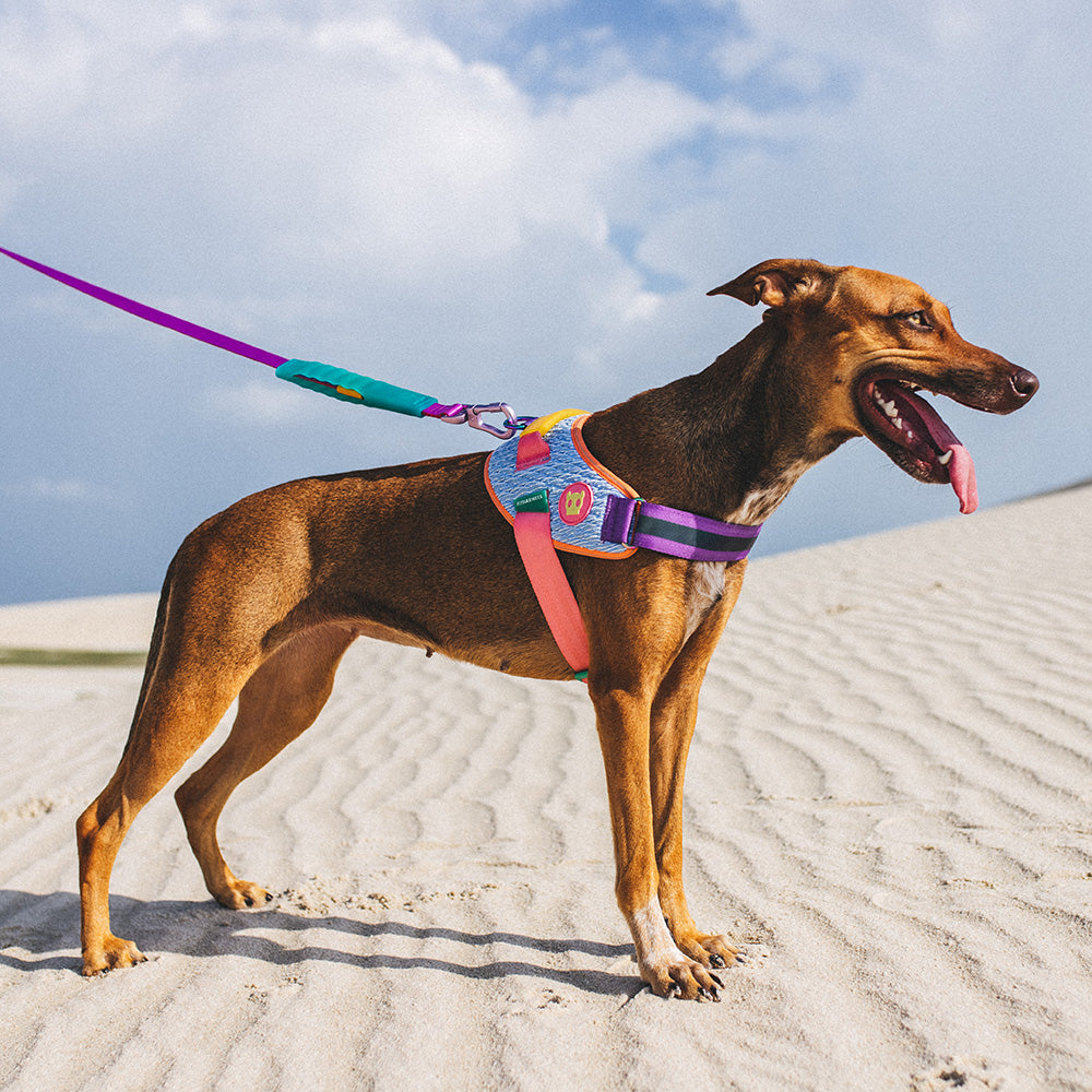 390303 GALAXY FLY HARNESS S(2) ギャラクシー フライハーネス S