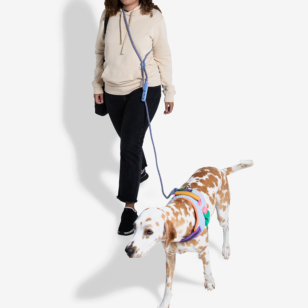 390276 ANDROMEDA HANDS-FREE LEASH アンドロメダ ハンズフリーリーシュ