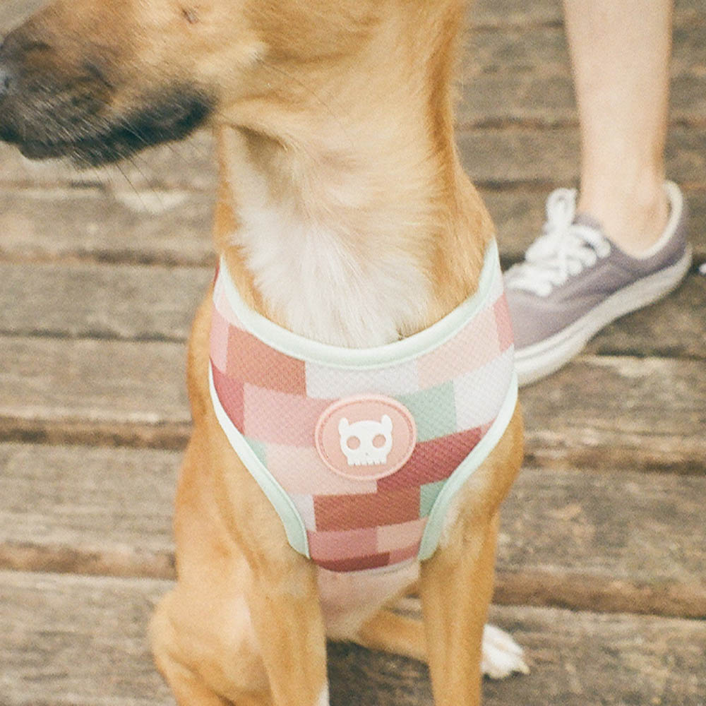 395357 LAGUNA MESH HARNESS M ラグナ メッシュハーネス M