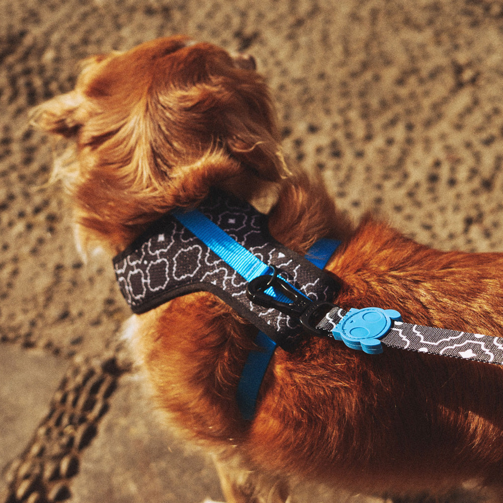 570788 MAHLEB MESH HARNESS XS マーレブ メッシュハーネス XS