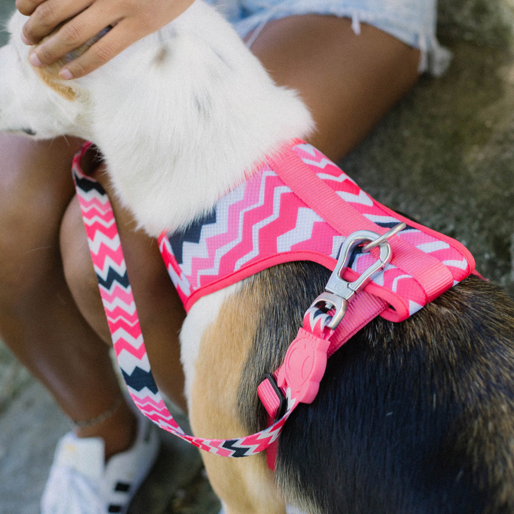 22900 MAUI MESH HARNESS XS マウイ メッシュハーネス XS