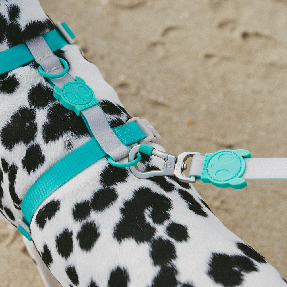 390518 NEOPRO 2.0 TIDAL LEASH S ネオプロ タイダル リード S