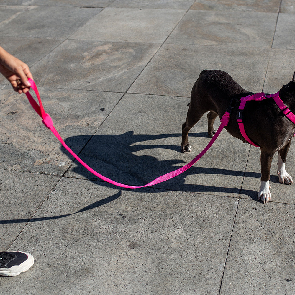 390027 PINK LED LEASH L ピンクLED リード L