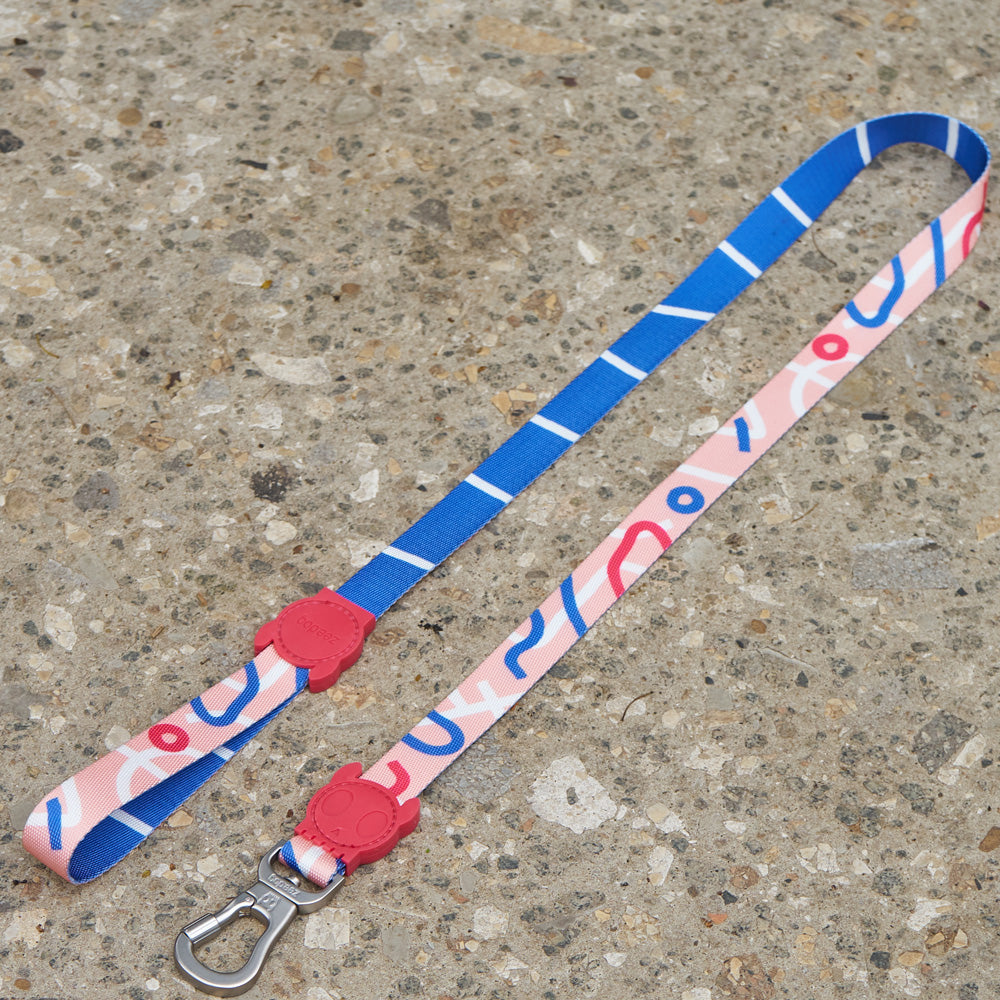 395179 PINNA LEASH S ピナ リード S