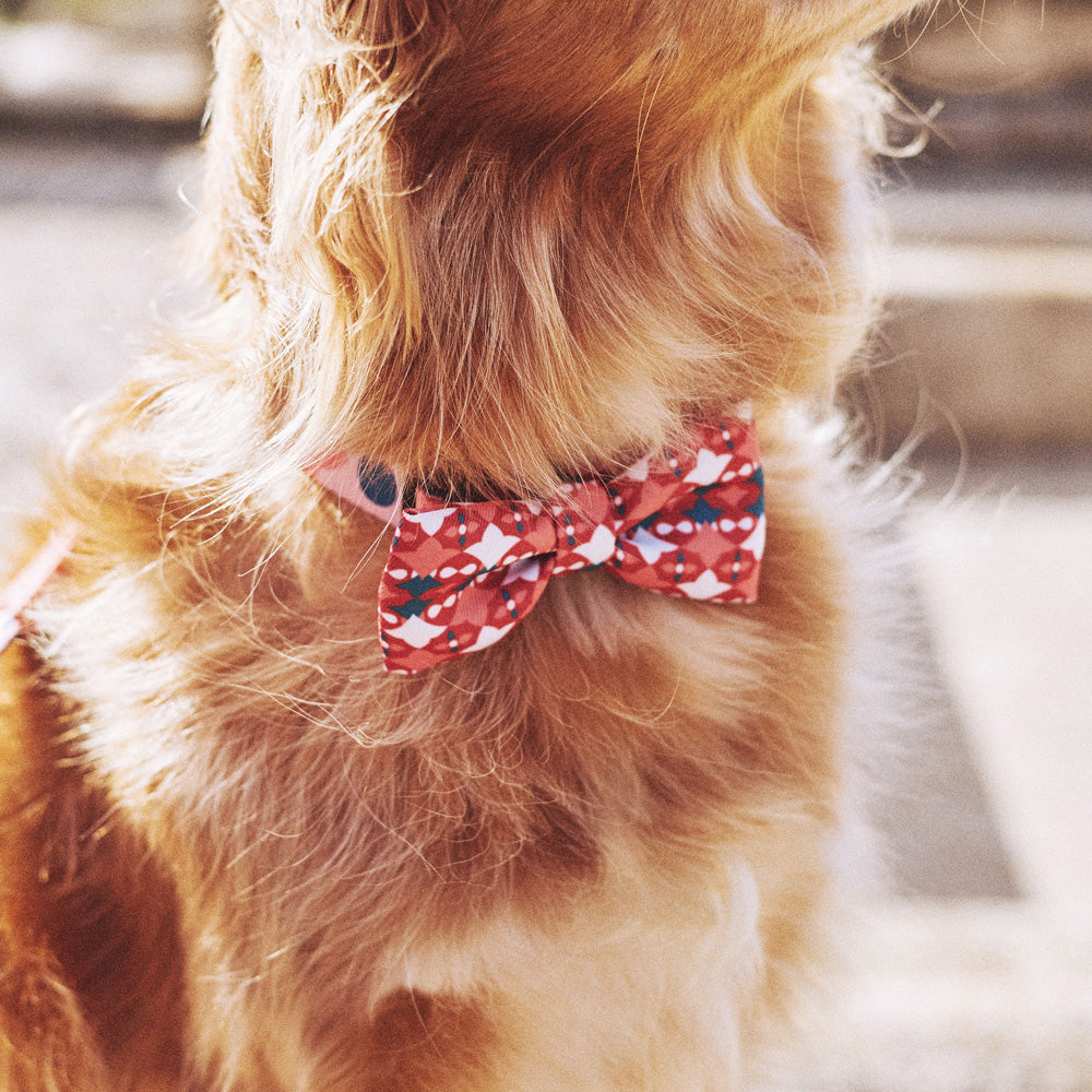 570816 SAME BOW TIE S セイム ボウタイ S