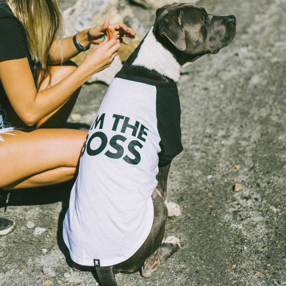 24997 I'M THE BOSS T-SHIRT XS