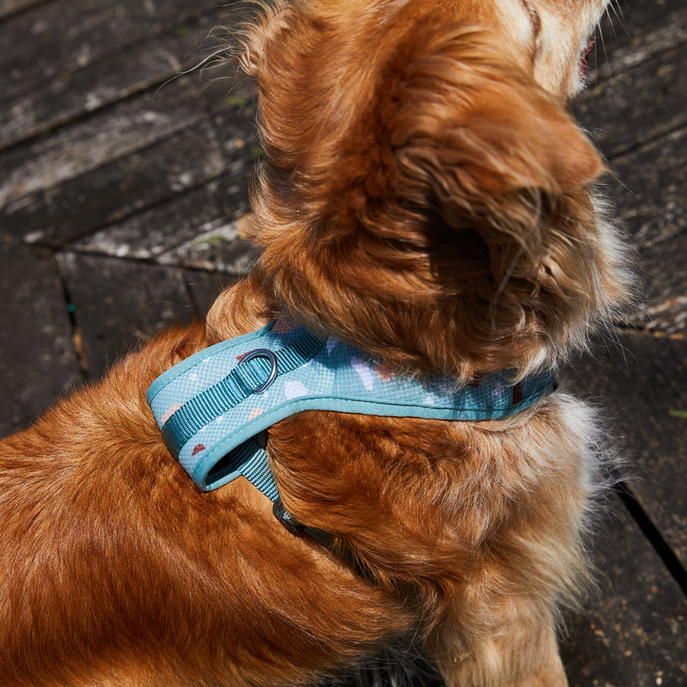 395232 TERRAZZO GREEN MESH HARNESS XS テラゾグリーン メッシュハーネス XS