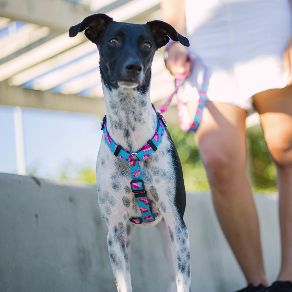 28247 TETRIS H-HARNESS L テトリス Hハーネス L