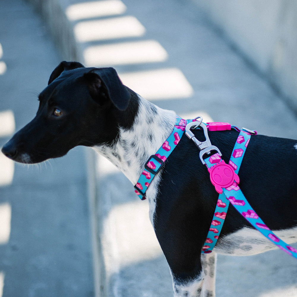 28247 TETRIS H-HARNESS L テトリス Hハーネス L