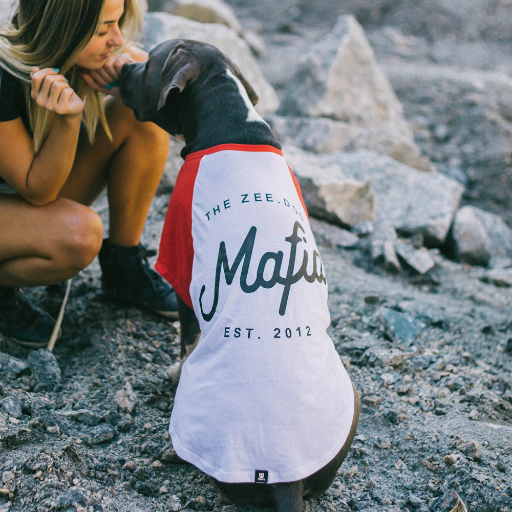 26793 ZEE.DOG MAFIA T-SHIRT XL