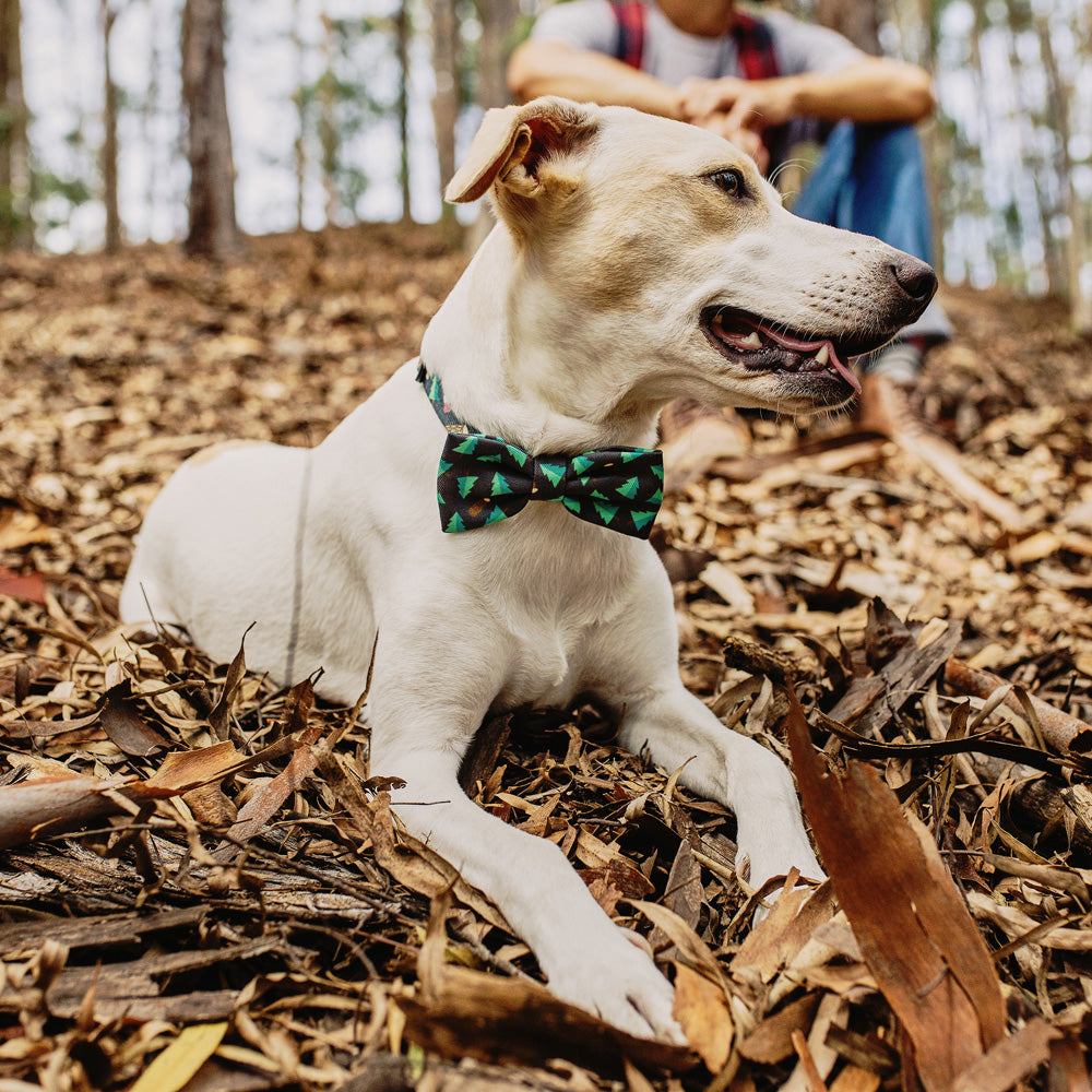 702253 WOODS BOW TIE L ウッズ ボウタイ L