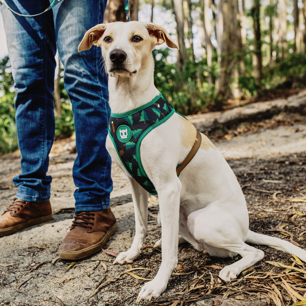 702248 WOODS MESH HARNESS XS ウッズ メッシュハーネス XS