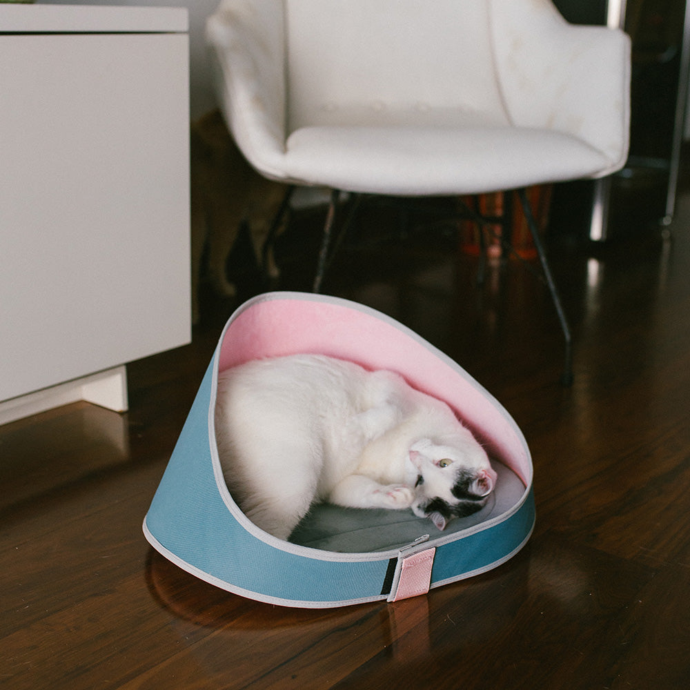 390139 ZEE.CAT BED KOMBUCHA ジーキャット ベッド コンブチャ