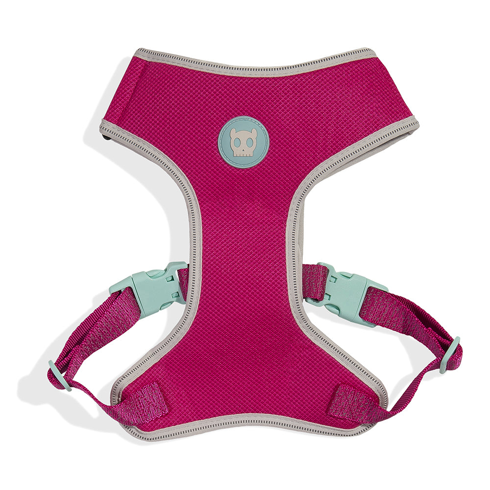 ADJUSTABLE MESH HARNESS