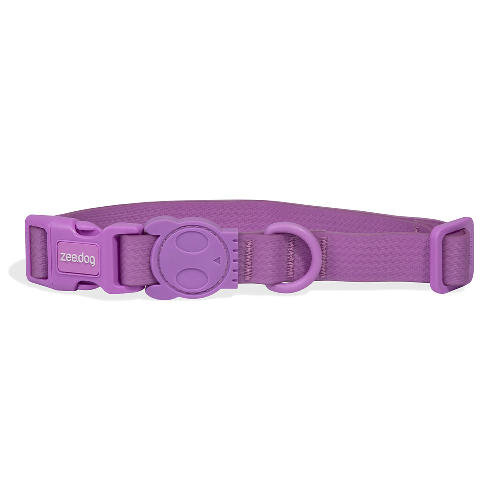 NEW RELEASE – zee.dog Japan