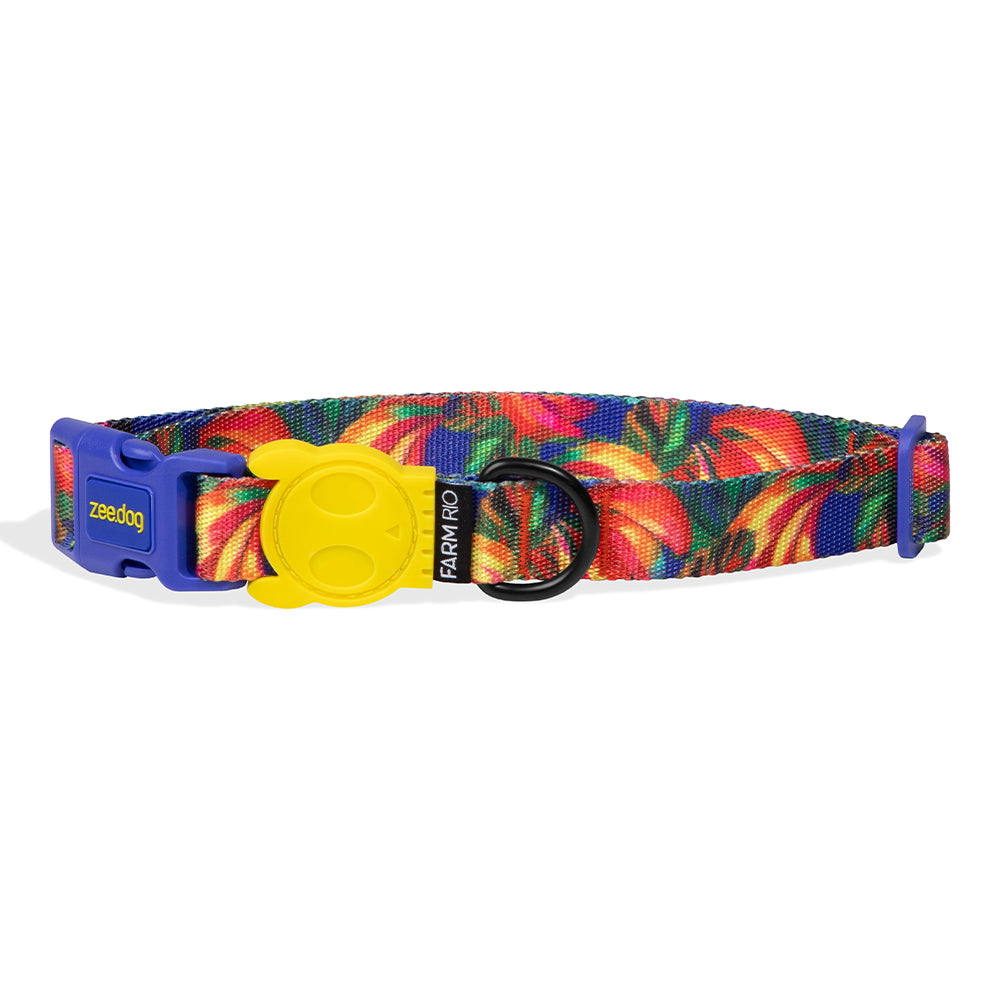 760029 FARM RIO SAMBA COLLAR XS ファームリオ サンバ カラー XS