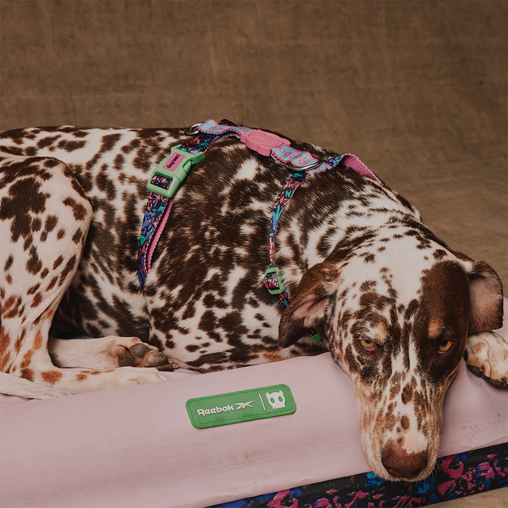 760283 Reebok AEROBIC H-HARNESS XS リーボック エアロビック Hハーネス XS