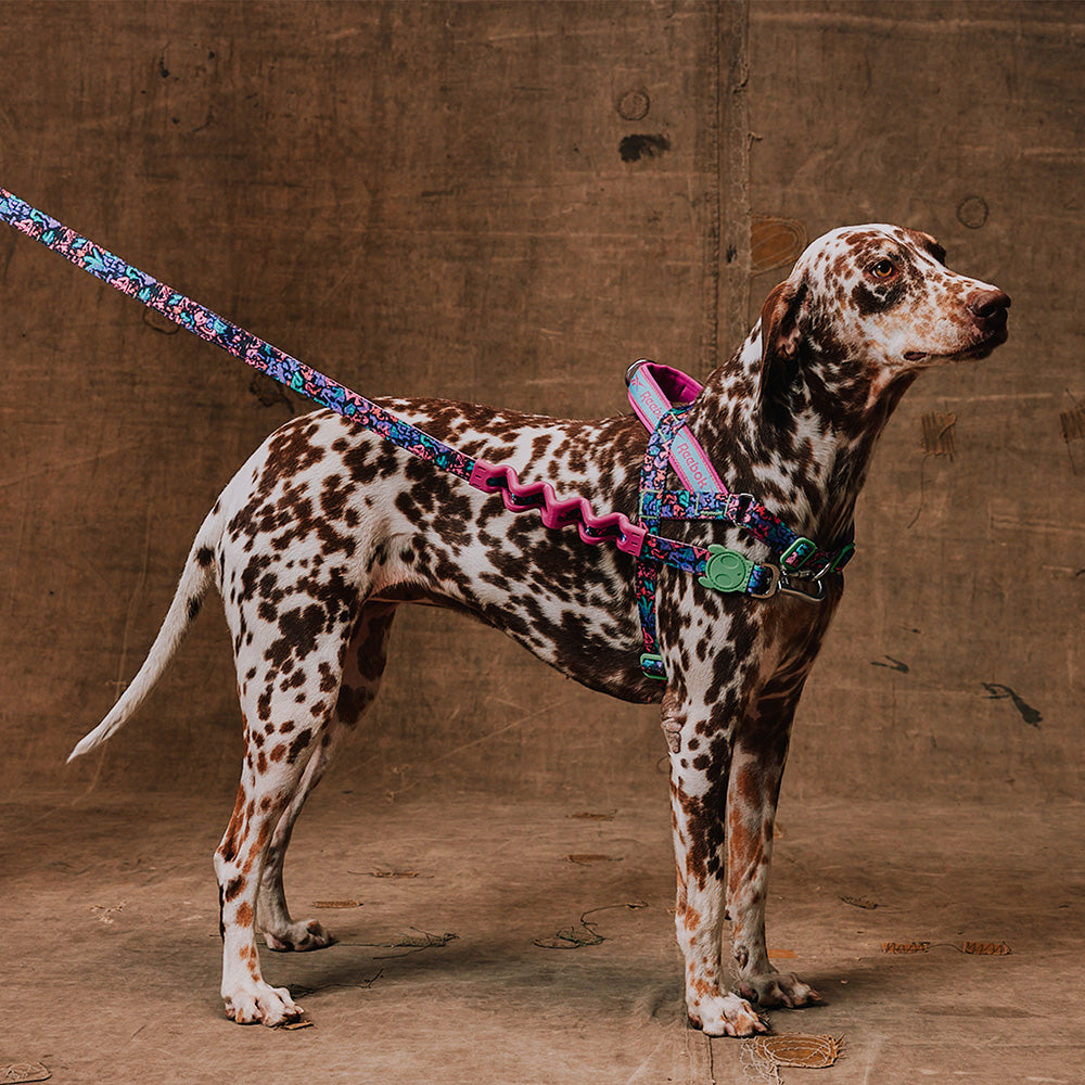 760273 Reebok AEROBIC SOFTER WALK HARNESS L リーボック エアロビック ソフターウォークハーネス L