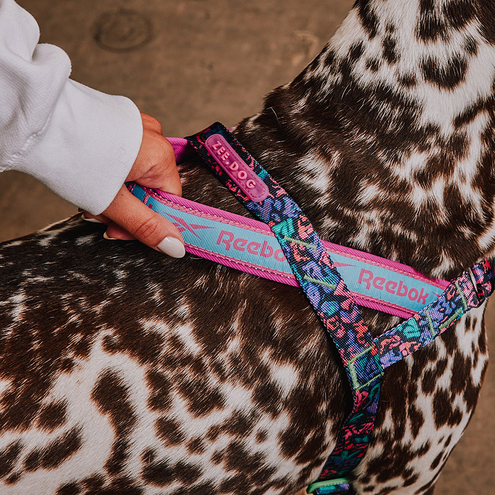 760273 Reebok AEROBIC SOFTER WALK HARNESS L リーボック エアロビック ソフターウォークハーネス L