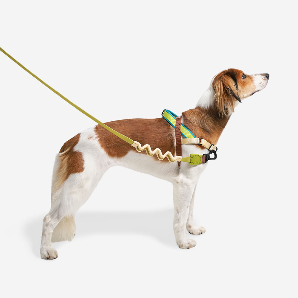 390973 AVOCADO SOFTER WALK HARNESS S アボカド ソフターウォークハーネス S