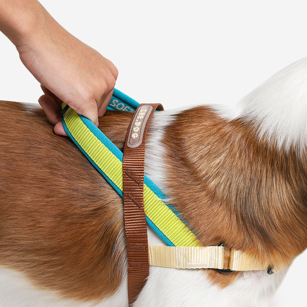 390973 AVOCADO SOFTER WALK HARNESS S アボカド ソフターウォークハーネス S