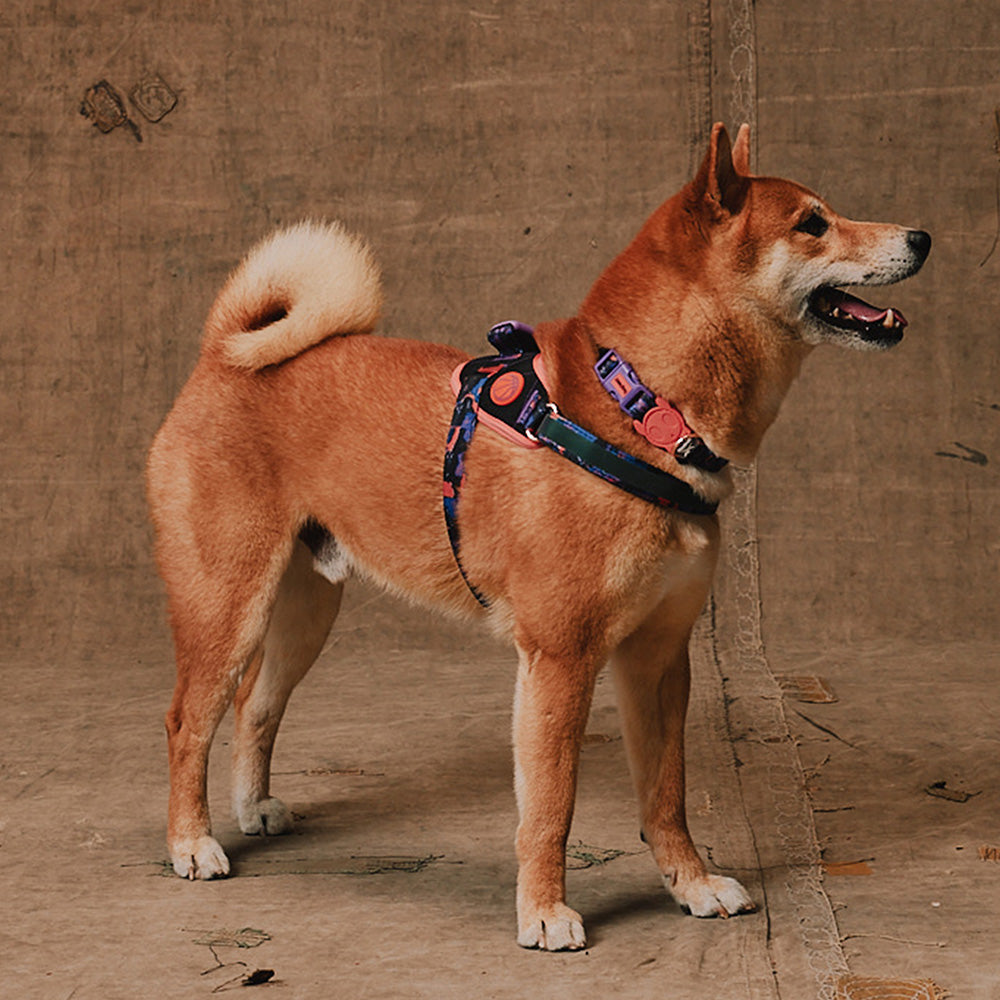 760242 Reebok COURT COLLAR L リーボック コート カラー L