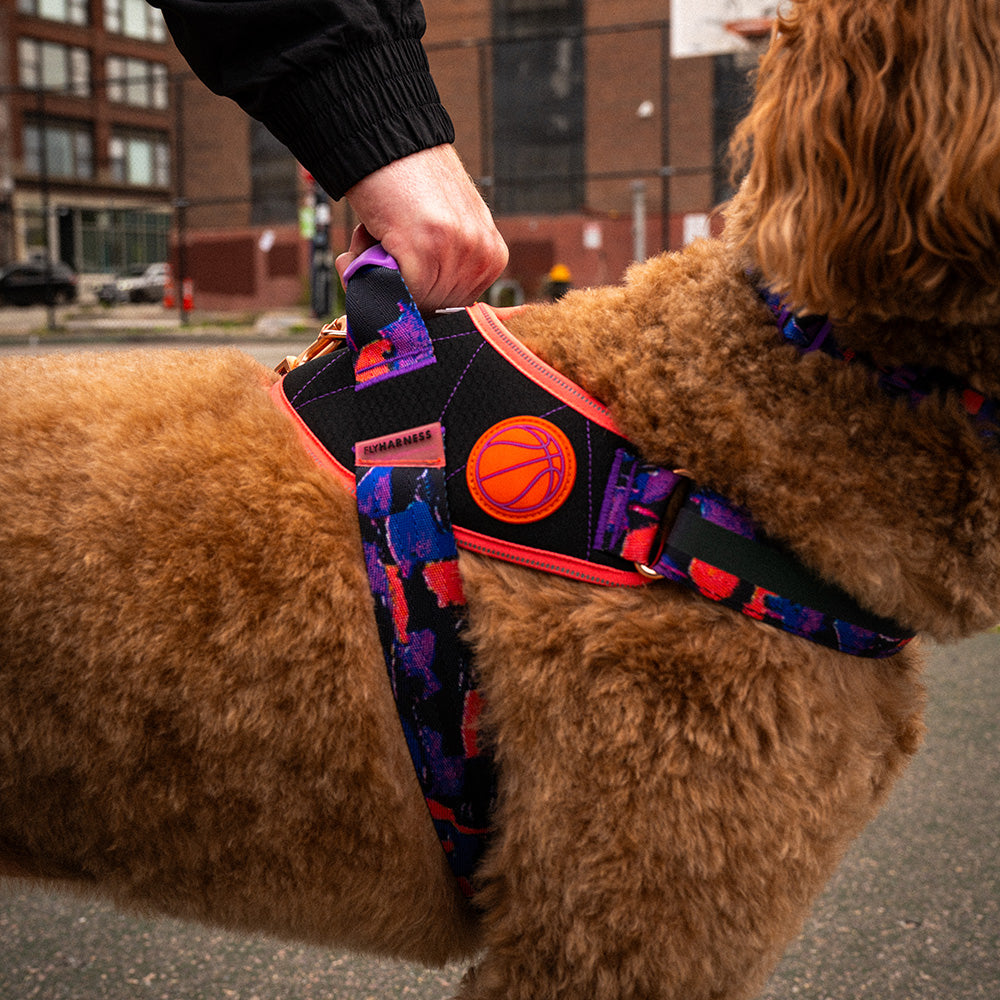 760321 Reebok COURT FLY HARNESS M(3) リーボック コート フライハーネス M