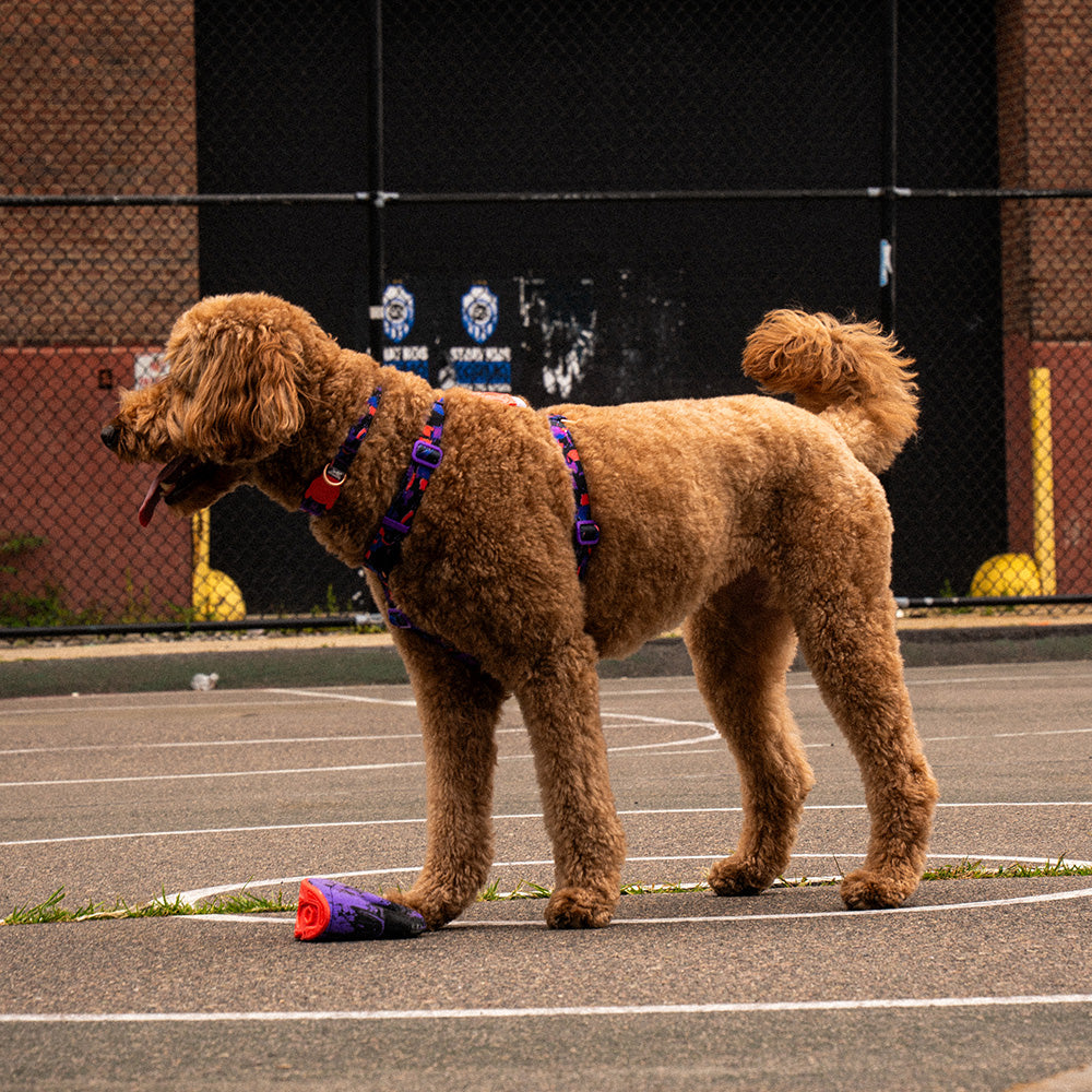 760288 Reebok COURT H-HARNESS S リーボック コート Hハーネス S