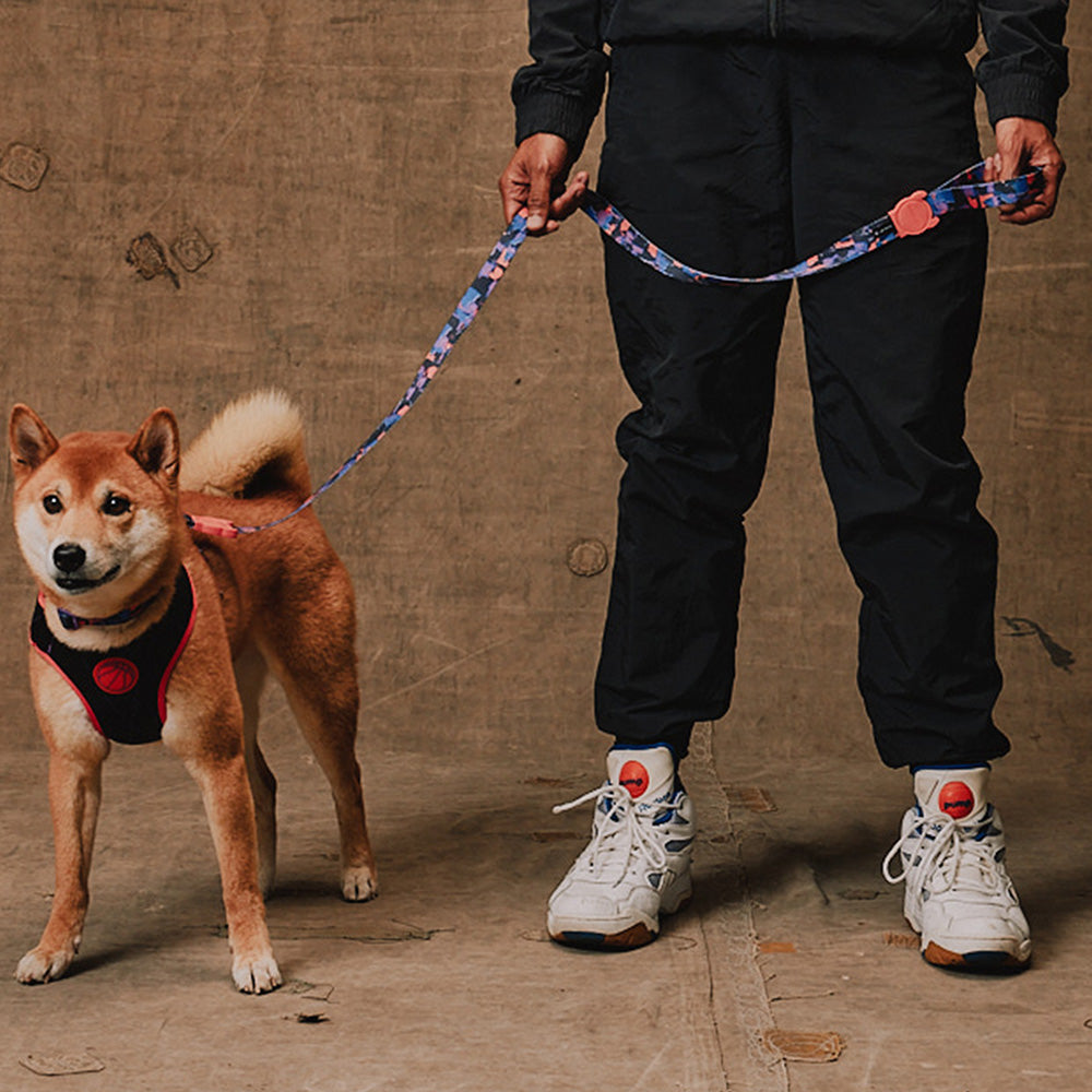 760254 Reebok COURT LEASH XS リーボック コート リード XS – zee.dog