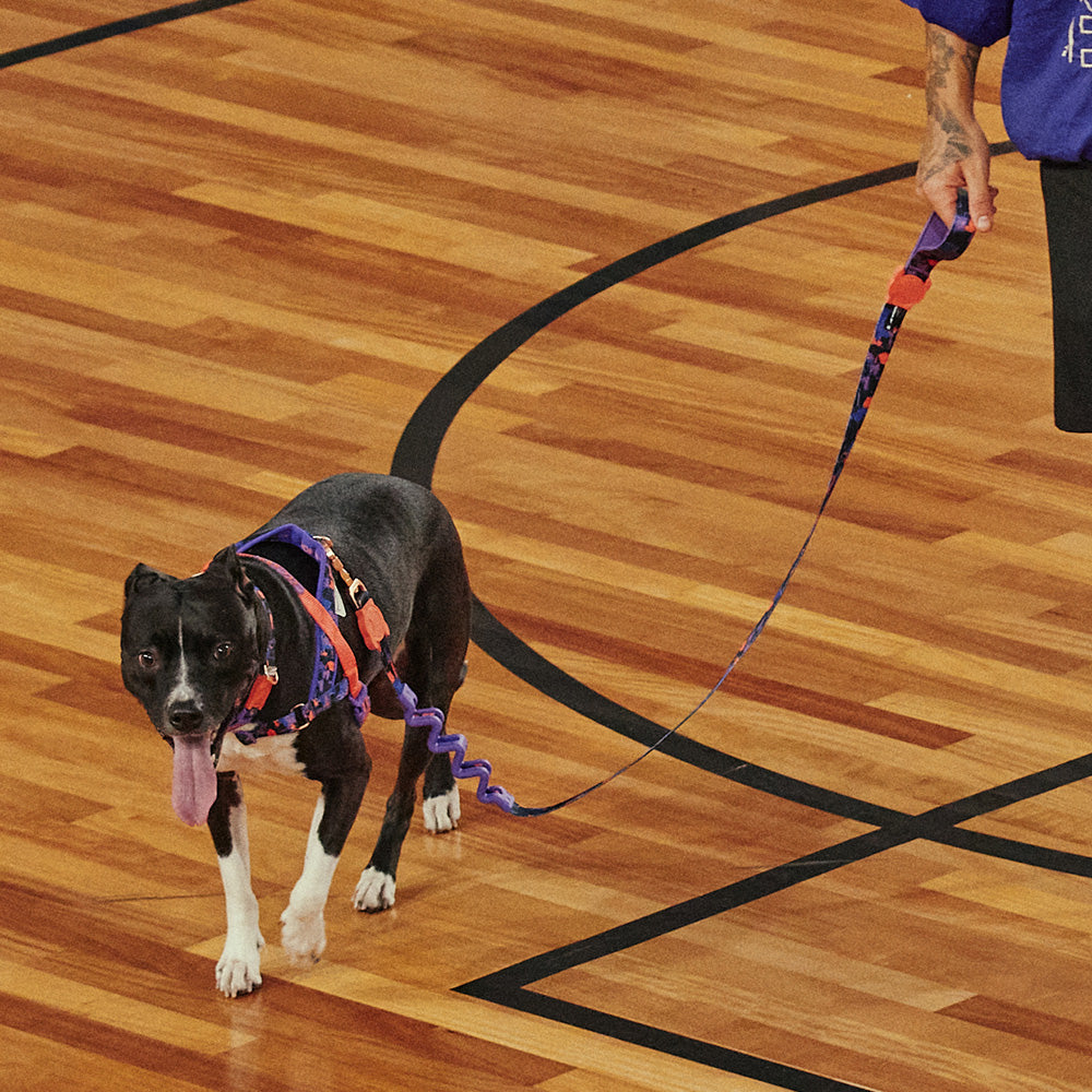 760265 Reebok COURT RUFF LEASH S リーボック コート ラフリード S