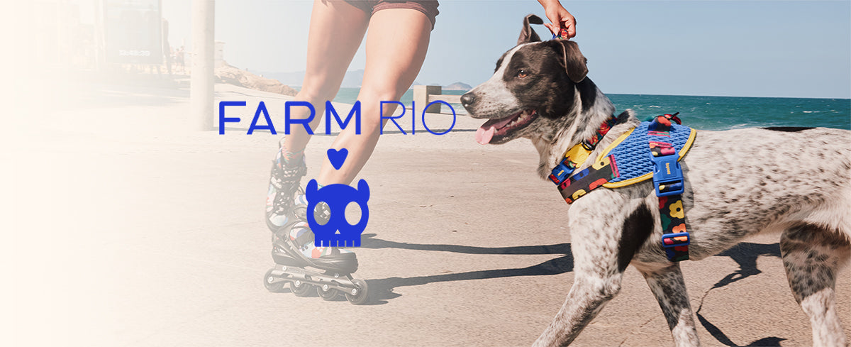 zee.dog Japan web store