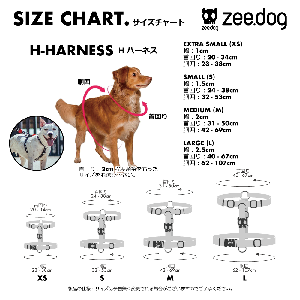 27639 RUDOLPH H-HARNESS M ルドルフ Hハーネス M