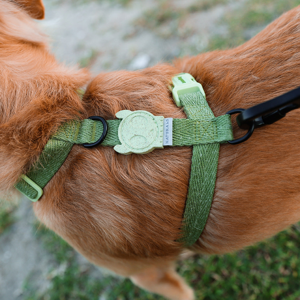999132 MOSS H-HARNESS S モス Hハーネス S