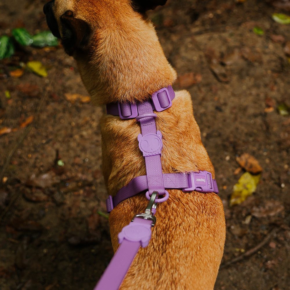 760469 NEOPRO ULTRA VIOLET H-HARNESS M ネオプロ ウルトラバイオレット Hハーネス M