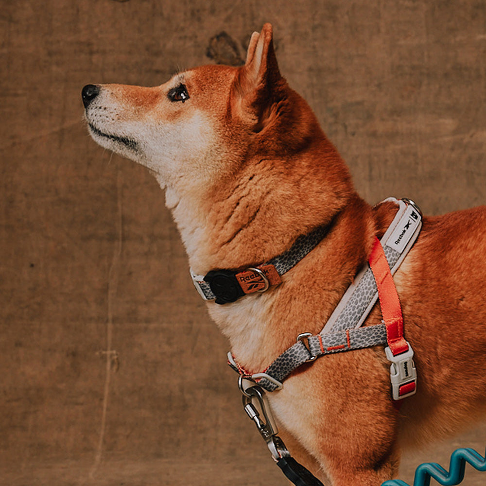 760244 Reebok SUEDE COLLAR S リーボック スエード カラー S