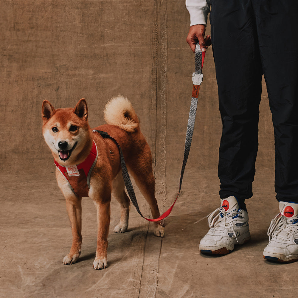 760257 Reebok SUEDE LEASH XS リーボック スエード リード XS