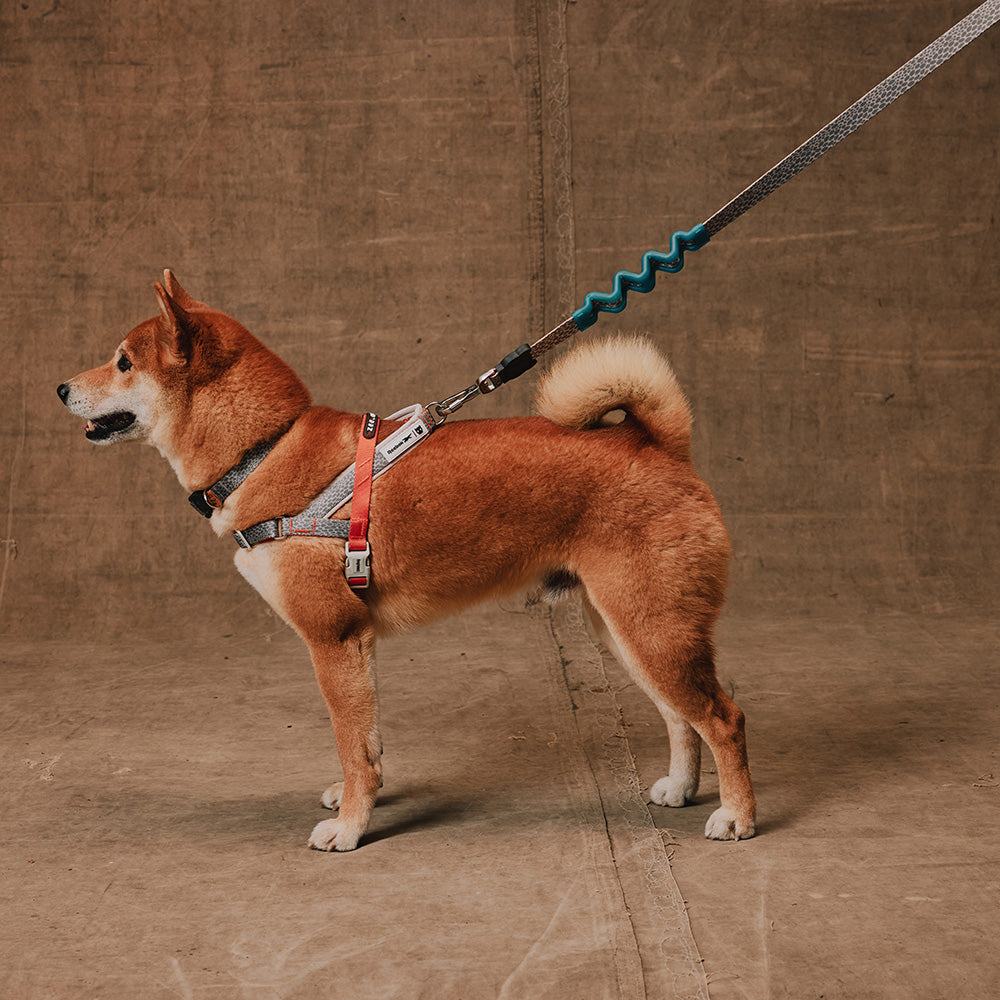 760267 Reebok SUEDE RUFF LEASH S リーボック スエード ラフリード S