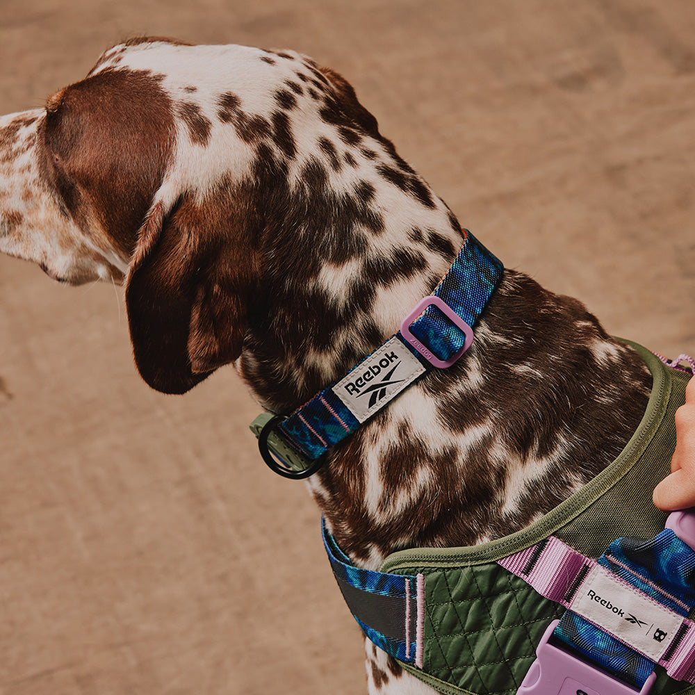 760250 Reebok TREKK COLLAR L リーボック トレック カラー L