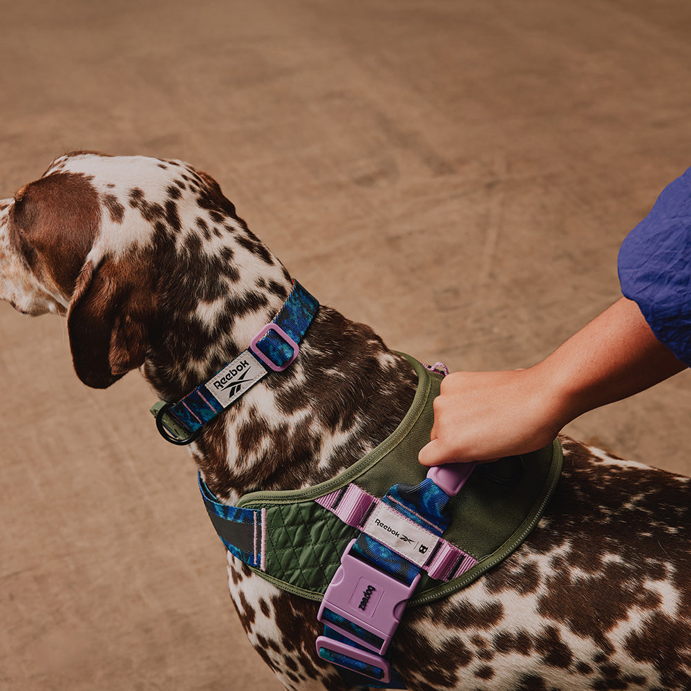 760328 Reebok TREKK FLY HARNESS XL(5) リーボック トレック フライハーネス XL