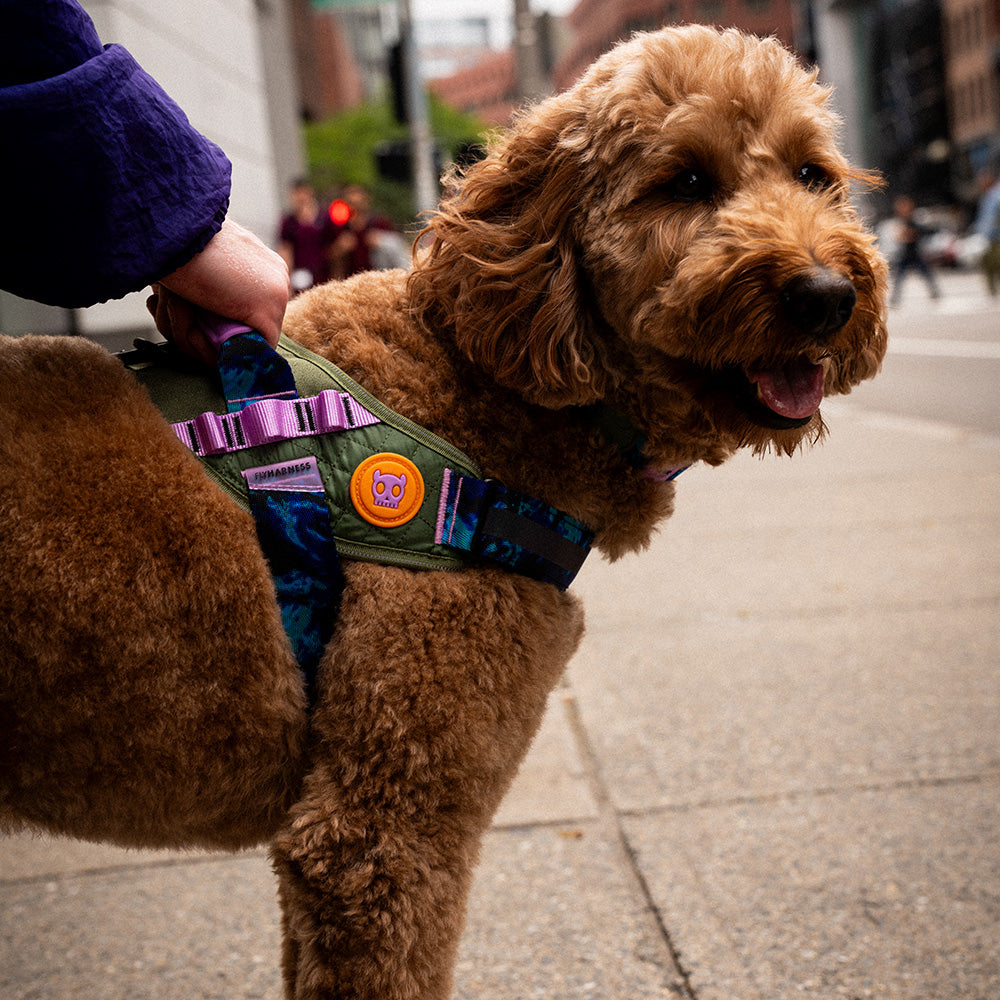 760328 Reebok TREKK FLY HARNESS XL(5) リーボック トレック フライハーネス XL