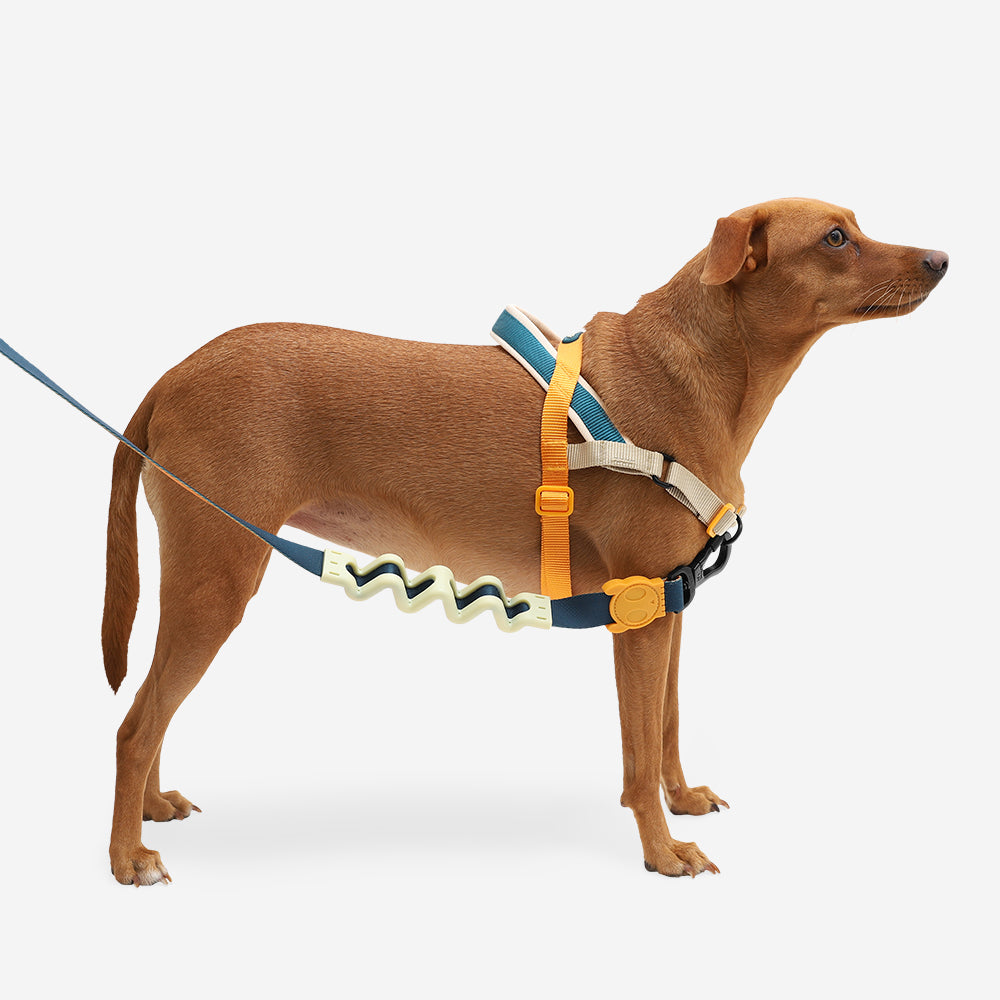 999067 VOYAGE SOFTER WALK HARNESS L ボヤージュ ソフターウォークハーネス L