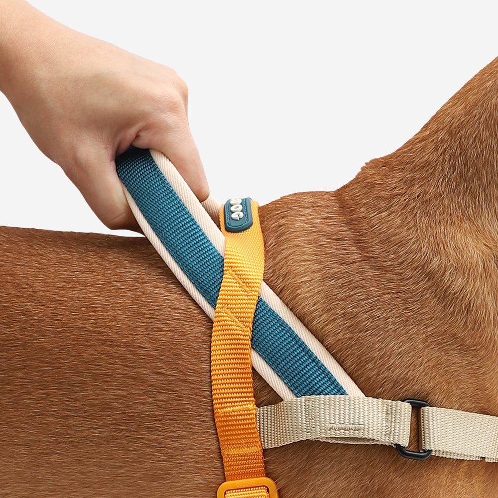 999067 VOYAGE SOFTER WALK HARNESS L ボヤージュ ソフターウォークハーネス L