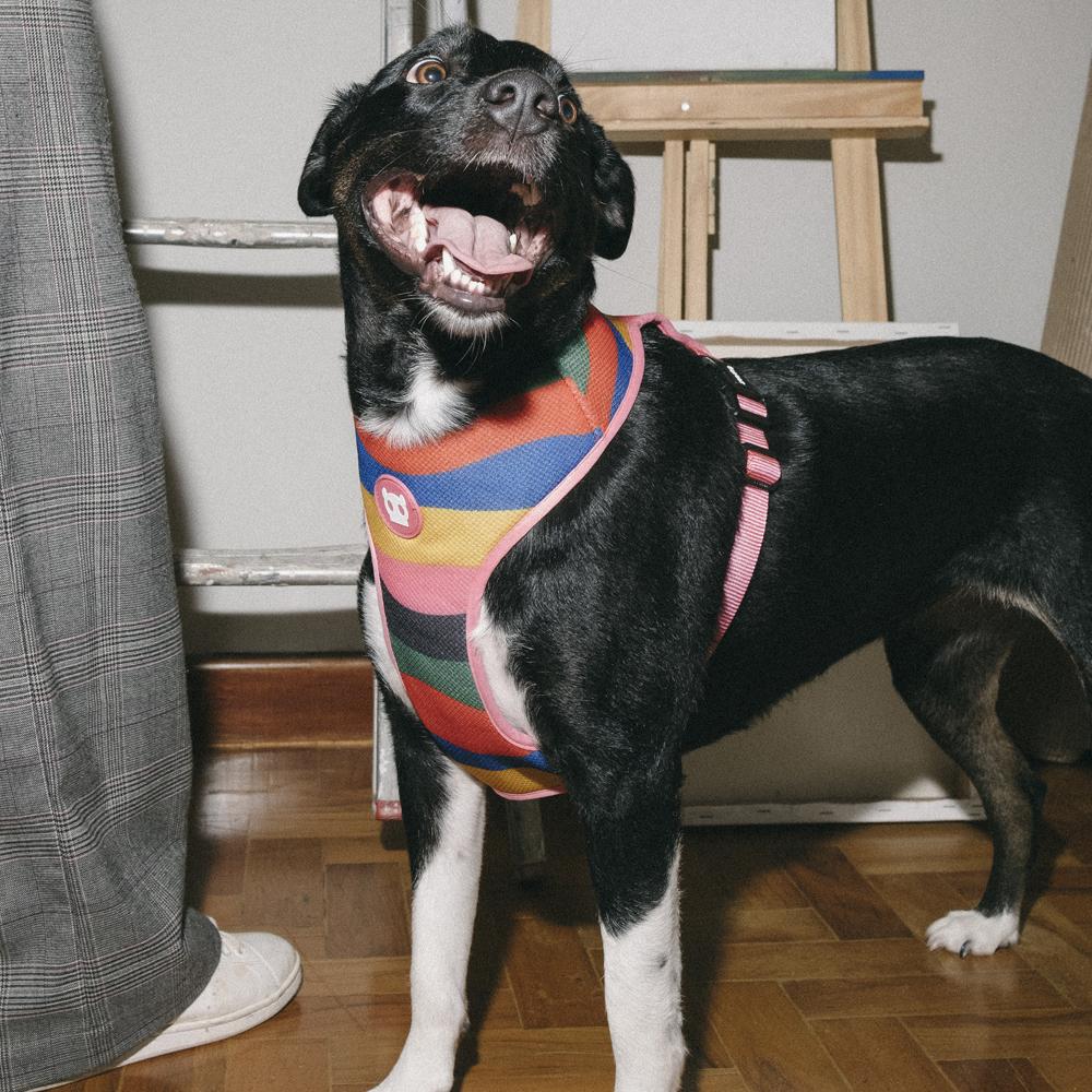 395612 CHROMA ADJUSTABLE AIR MESH HARNESS XS クロマ アジャスタブルメッシュハーネス XS