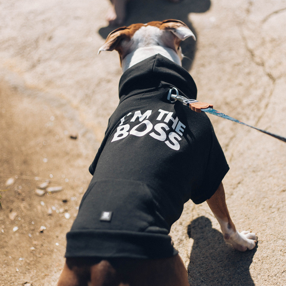 24973 I'M THE BOSS HOODIE M