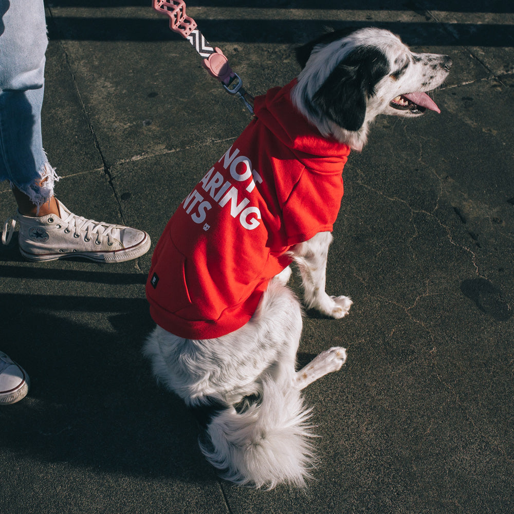 702290 NOT WEARING PANTS RED HOODIE M